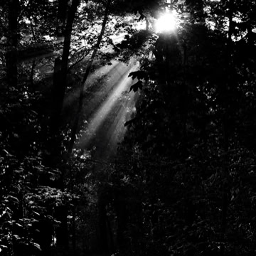 020_Project_Morgensonne_001