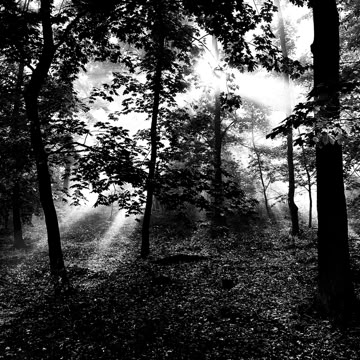 022_Project_Morgensonne_003